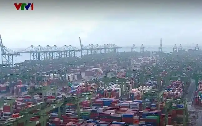 Southeast Asian logistics companies are navigating the "price storm" in transportation.